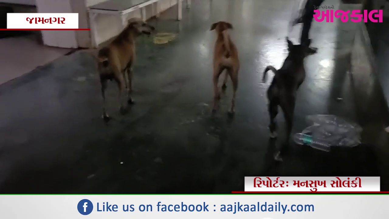 Aajkaal Daily (Desh Pardesh Ni Aajkaal)