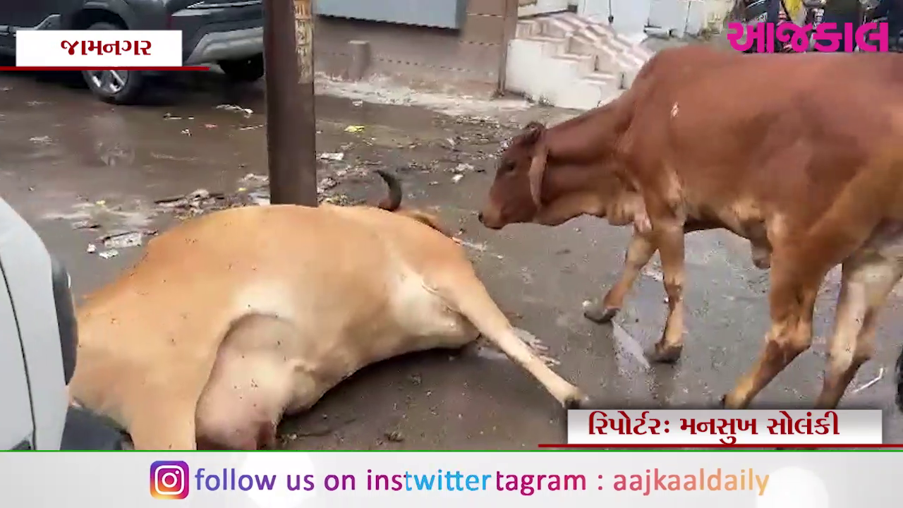Aajkaal Daily (Desh Pardesh Ni Aajkaal)