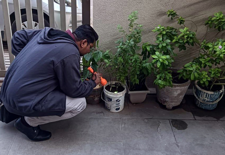 Aajkaal Daily (Desh Pardesh Ni Aajkaal)