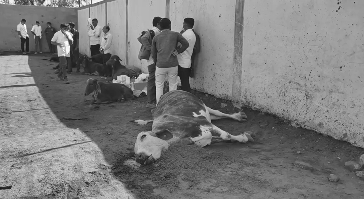 Aajkaal Daily (Desh Pardesh Ni Aajkaal)