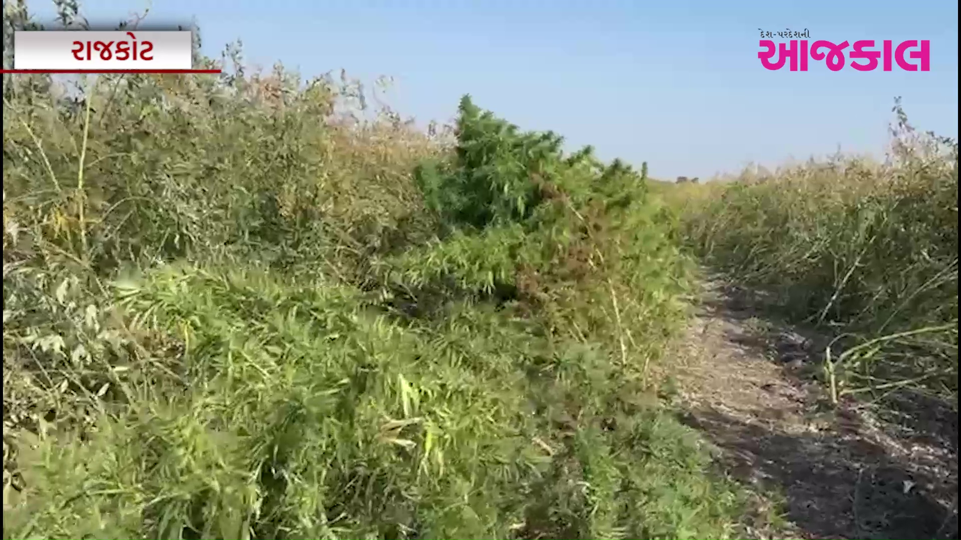 Aajkaal Daily (Desh Pardesh Ni Aajkaal)