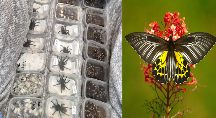 Aajkaal Daily (Desh Pardesh Ni Aajkaal)