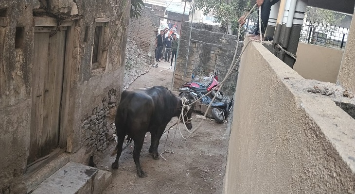 Aajkaal Daily (Desh Pardesh Ni Aajkaal)