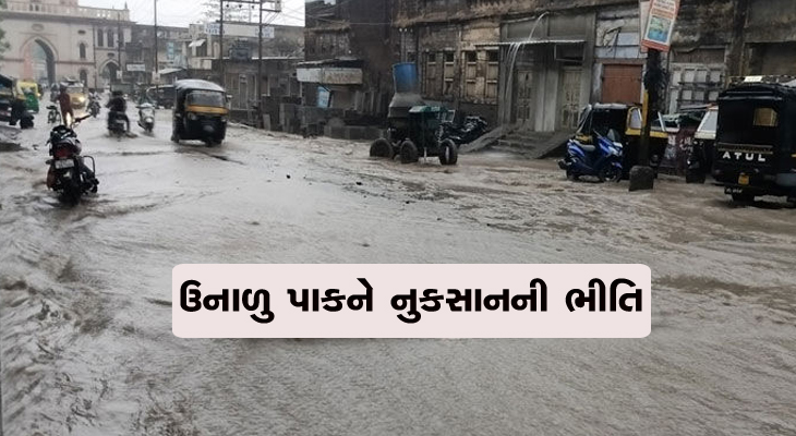 Aajkaal Daily (Desh Pardesh Ni Aajkaal)