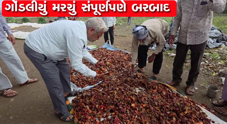 Aajkaal Daily (Desh Pardesh Ni Aajkaal)