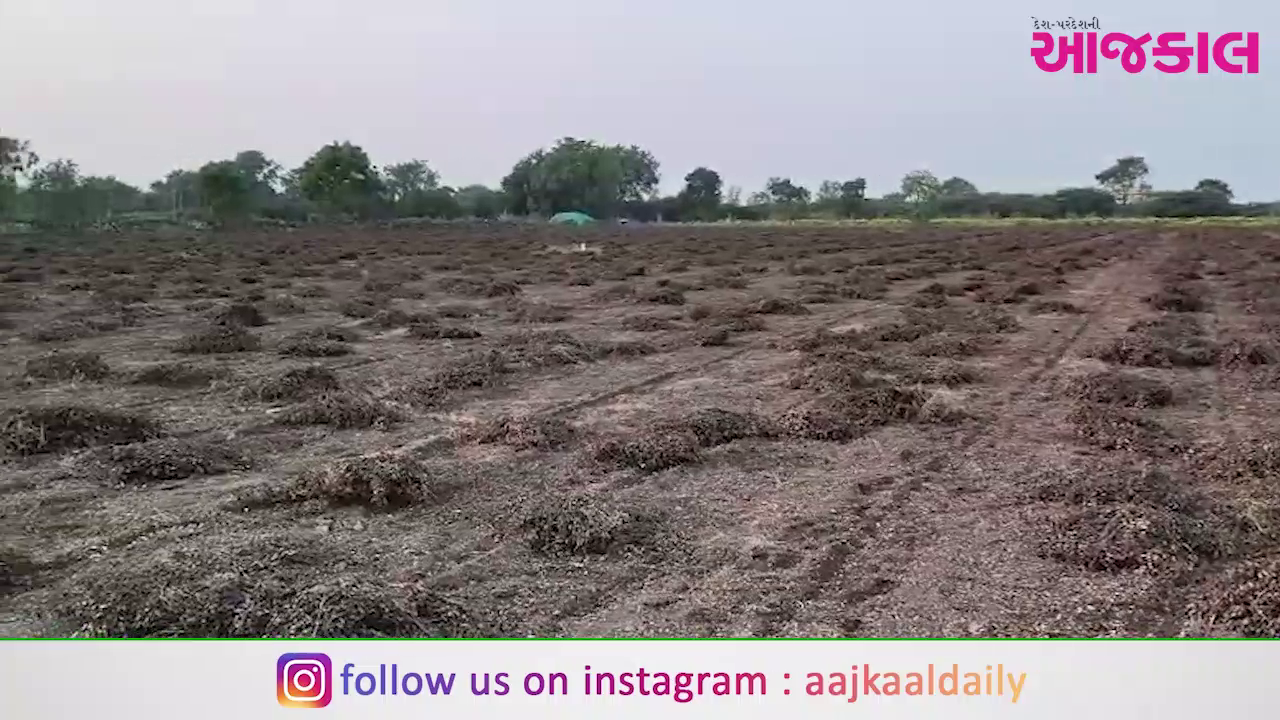 Aajkaal Daily (Desh Pardesh Ni Aajkaal)