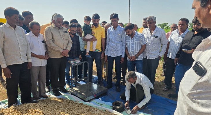 Aajkaal Daily (Desh Pardesh Ni Aajkaal)