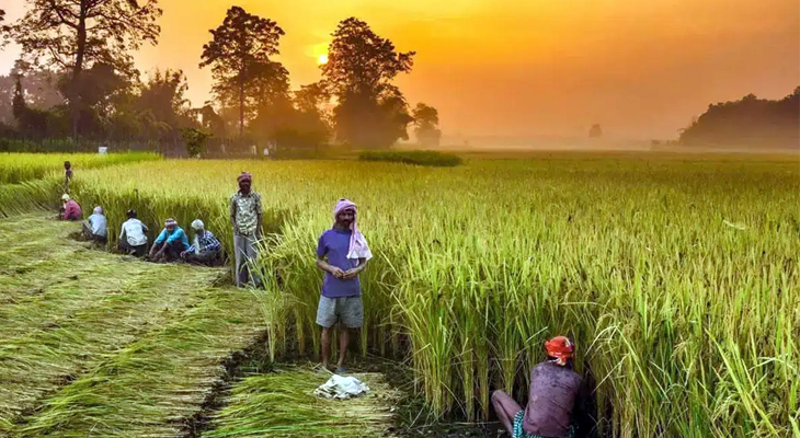 Aajkaal Daily (Desh Pardesh Ni Aajkaal)