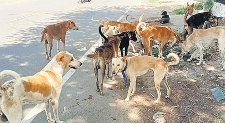 Aajkaal Daily (Desh Pardesh Ni Aajkaal)