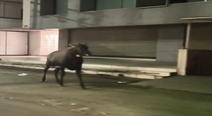 Aajkaal Daily (Desh Pardesh Ni Aajkaal)