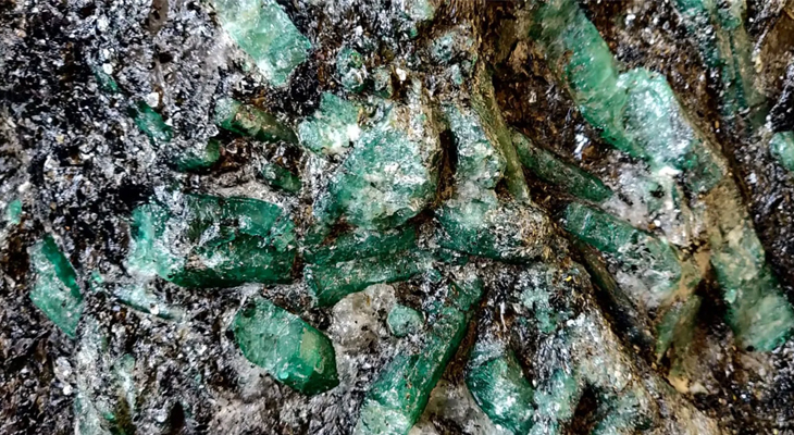 Aajkaal Daily (Desh Pardesh Ni Aajkaal)