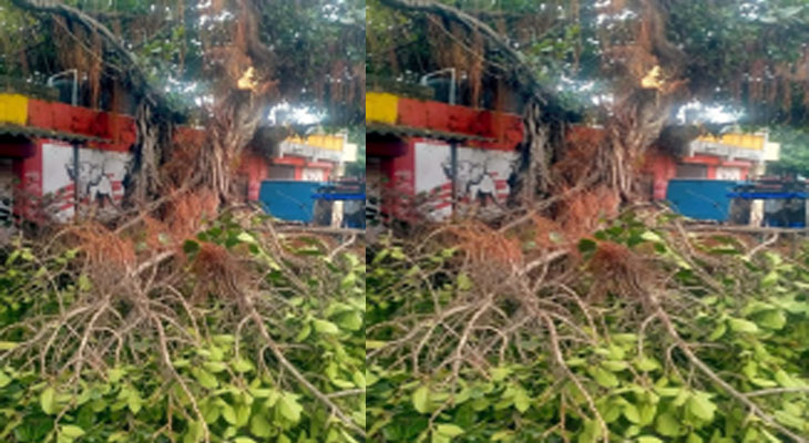 Aajkaal Daily (Desh Pardesh Ni Aajkaal)