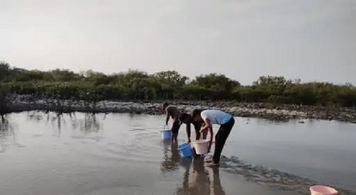 Aajkaal Daily (Desh Pardesh Ni Aajkaal)