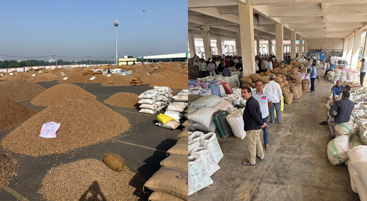 Aajkaal Daily (Desh Pardesh Ni Aajkaal)