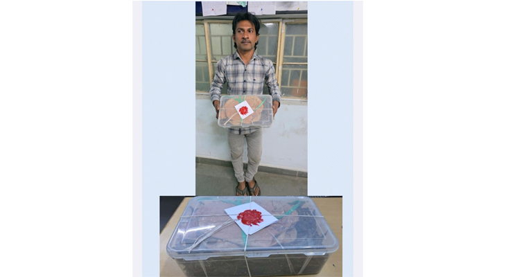 Aajkaal Daily (Desh Pardesh Ni Aajkaal)