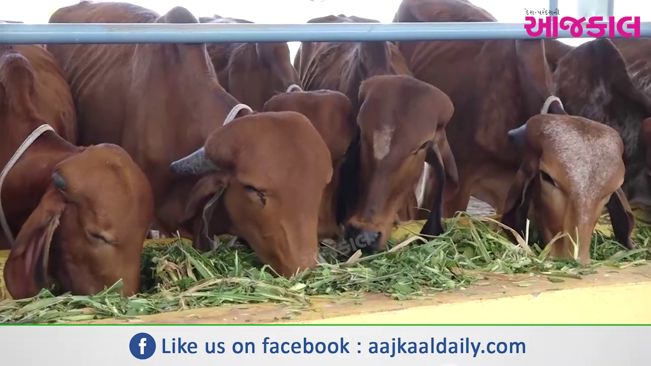 Aajkaal Daily (Desh Pardesh Ni Aajkaal)