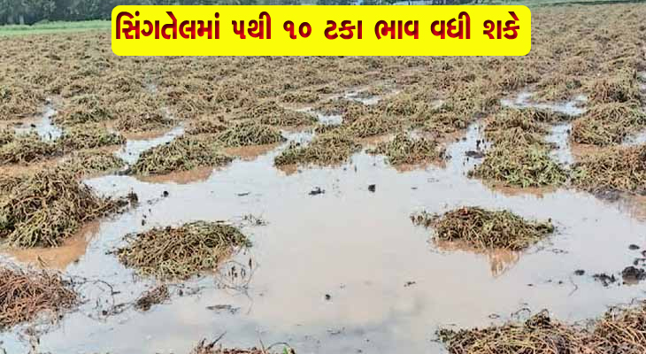 Aajkaal Daily (Desh Pardesh Ni Aajkaal)