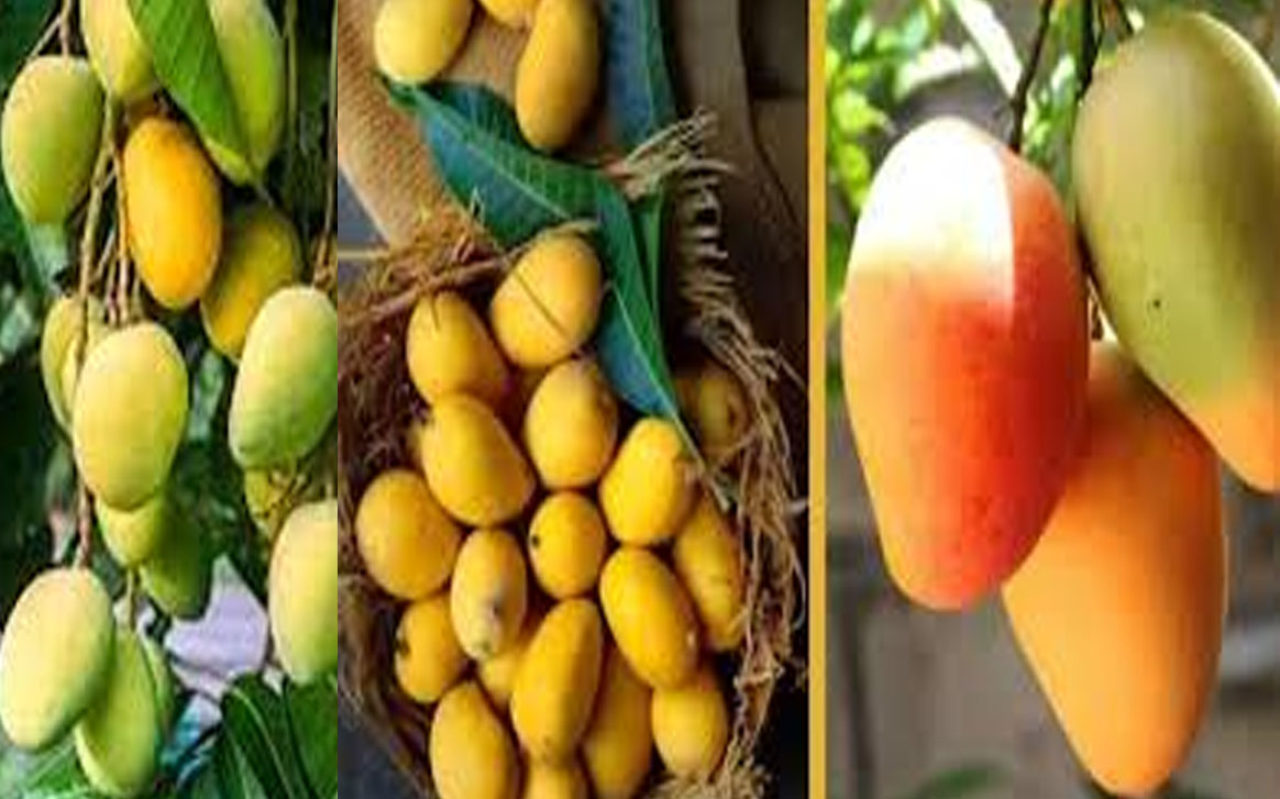 Aajkaal Daily (Desh Pardesh Ni Aajkaal)