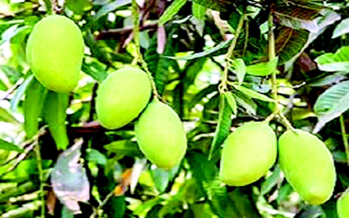 Aajkaal Daily (Desh Pardesh Ni Aajkaal)