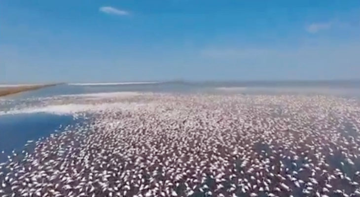 Aajkaal Daily (Desh Pardesh Ni Aajkaal)