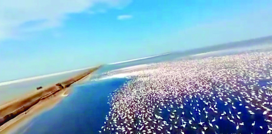 Aajkaal Daily (Desh Pardesh Ni Aajkaal)