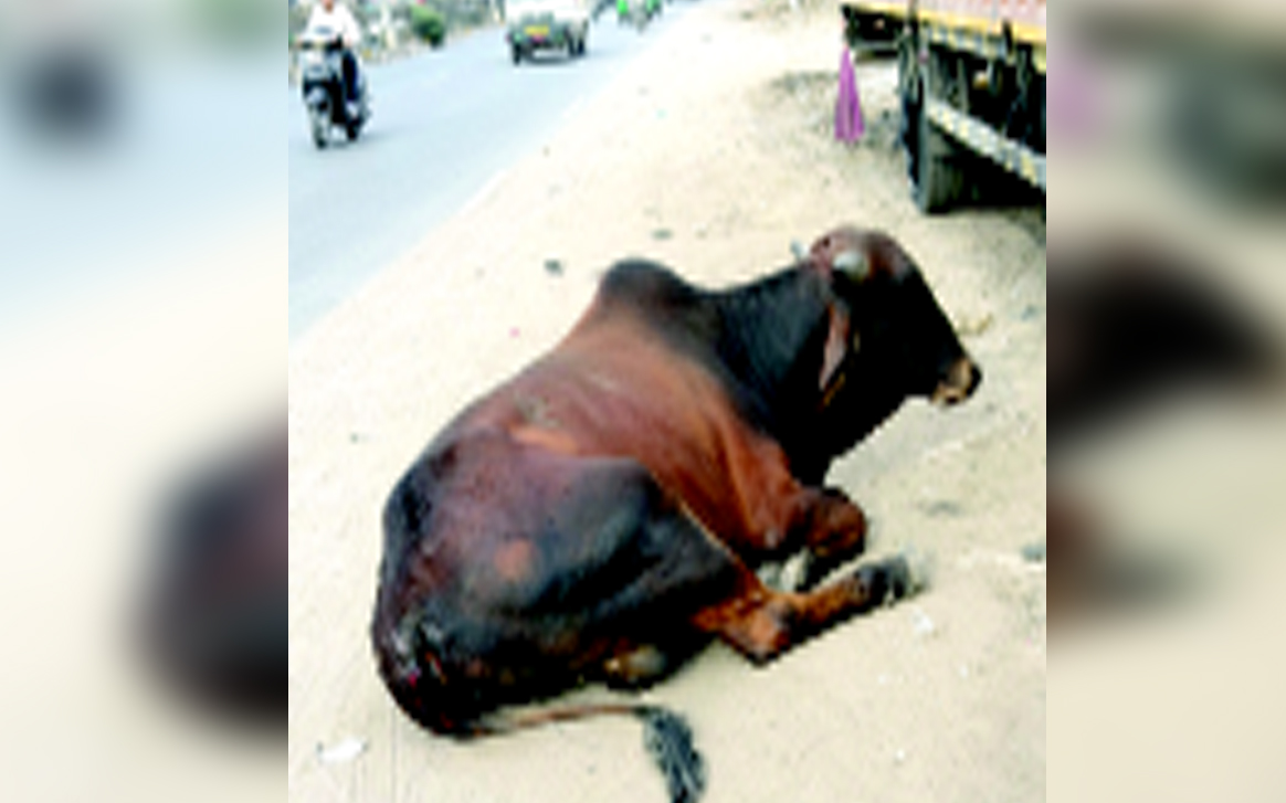 Aajkaal Daily (Desh Pardesh Ni Aajkaal)