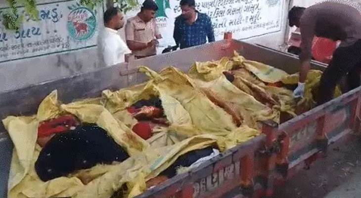 Aajkaal Daily (Desh Pardesh Ni Aajkaal)