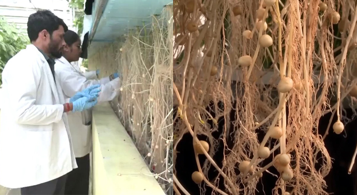 Aajkaal Daily (Desh Pardesh Ni Aajkaal)