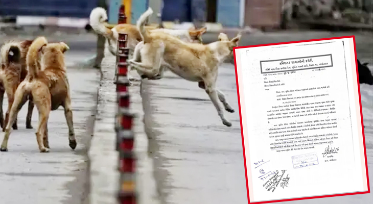 Aajkaal Daily (Desh Pardesh Ni Aajkaal)