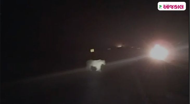 Aajkaal Daily (Desh Pardesh Ni Aajkaal)