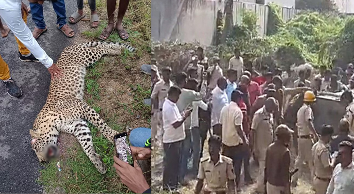 Aajkaal Daily (Desh Pardesh Ni Aajkaal)