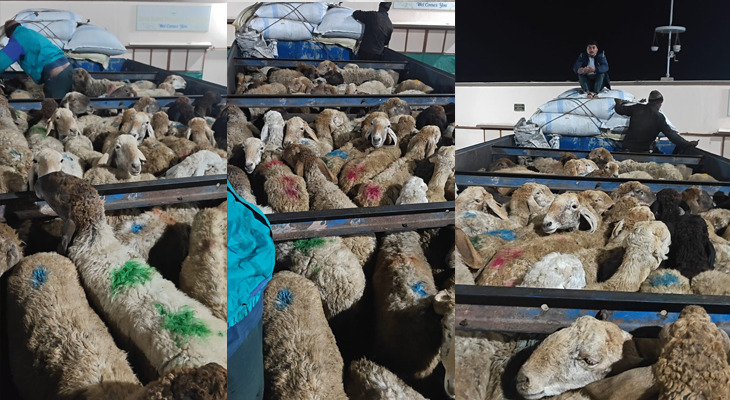 Aajkaal Daily (Desh Pardesh Ni Aajkaal)