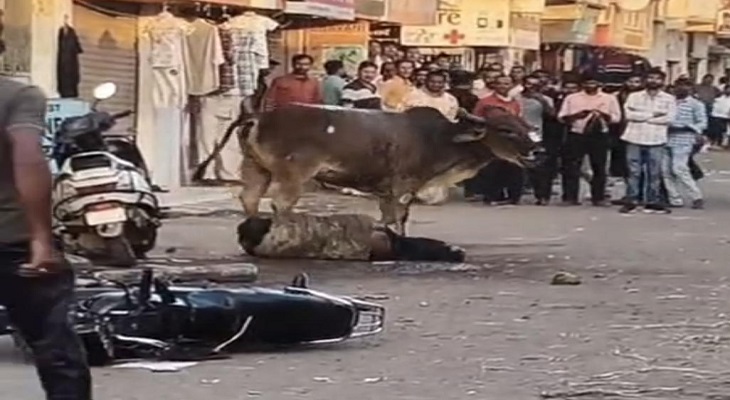 Aajkaal Daily (Desh Pardesh Ni Aajkaal)