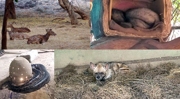 Aajkaal Daily (Desh Pardesh Ni Aajkaal)