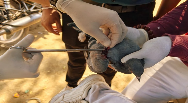 Aajkaal Daily (Desh Pardesh Ni Aajkaal)