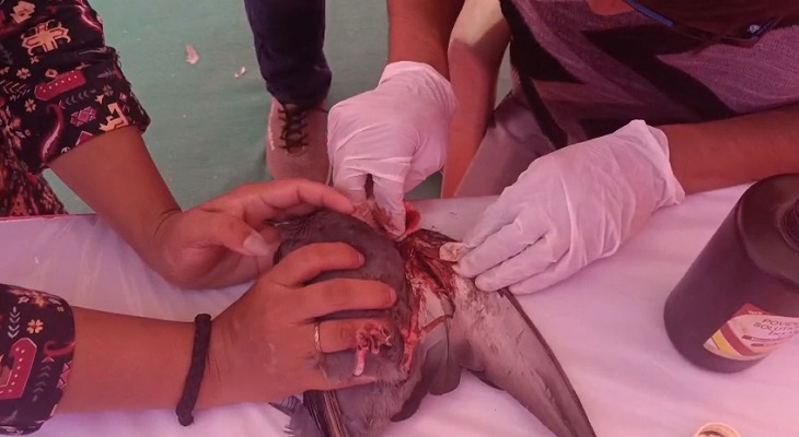 Aajkaal Daily (Desh Pardesh Ni Aajkaal)