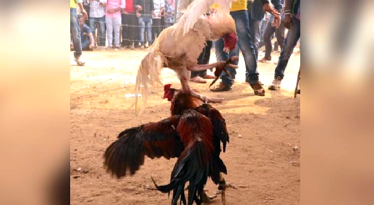 Aajkaal Daily (Desh Pardesh Ni Aajkaal)