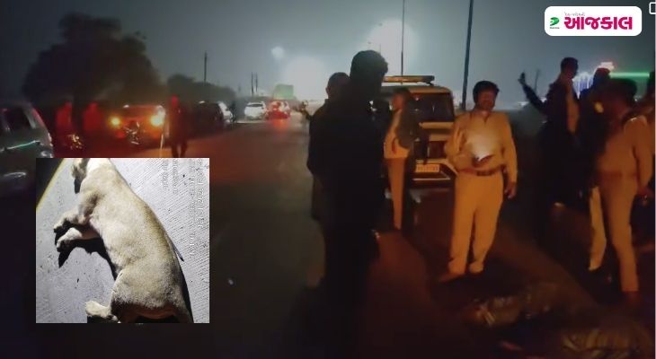 Aajkaal Daily (Desh Pardesh Ni Aajkaal)