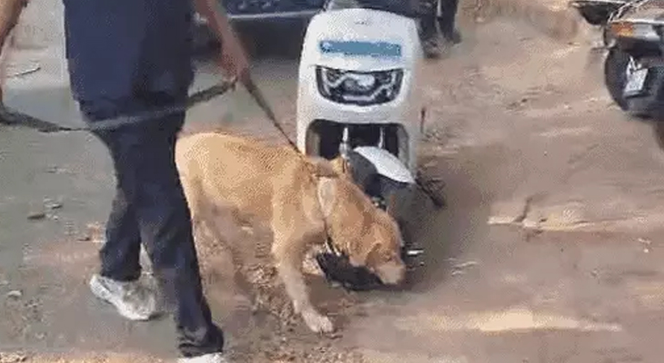 Aajkaal Daily (Desh Pardesh Ni Aajkaal)