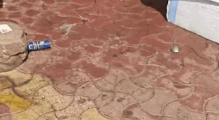 Aajkaal Daily (Desh Pardesh Ni Aajkaal)