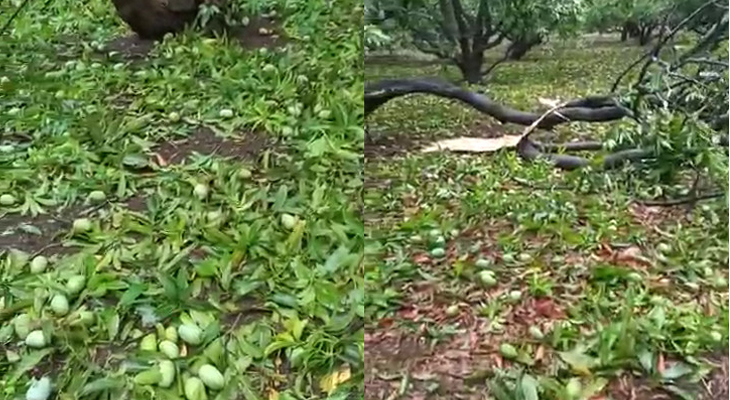 Aajkaal Daily (Desh Pardesh Ni Aajkaal)