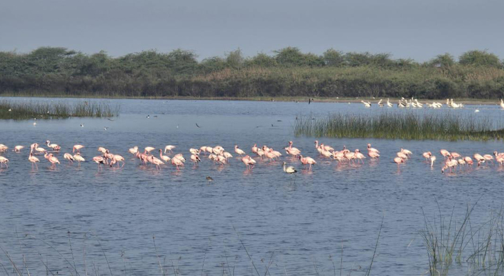 Aajkaal Daily (Desh Pardesh Ni Aajkaal)