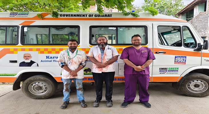 જામનગરમાં કરુણા એનિમલ એમ્બ્યુલન્સની સેવાને 9 વર્ષ પૂર્ણ