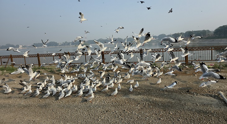 Aajkaal Daily (Desh Pardesh Ni Aajkaal)