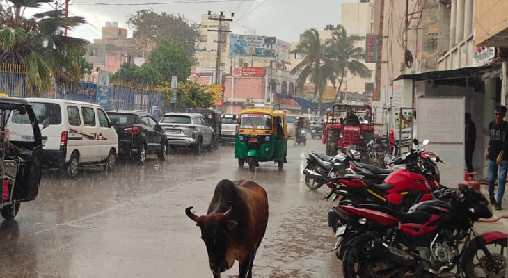 Aajkaal Daily (Desh Pardesh Ni Aajkaal)