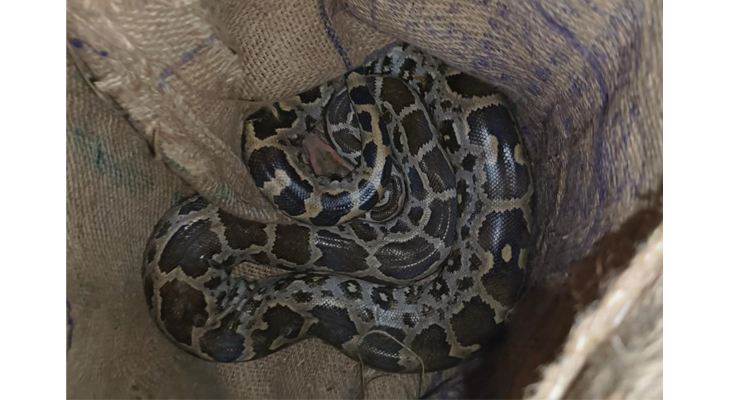 Aajkaal Daily (Desh Pardesh Ni Aajkaal)