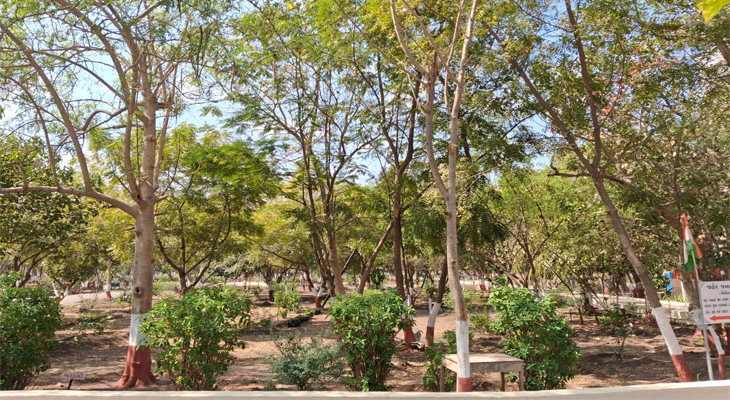 Aajkaal Daily (Desh Pardesh Ni Aajkaal)