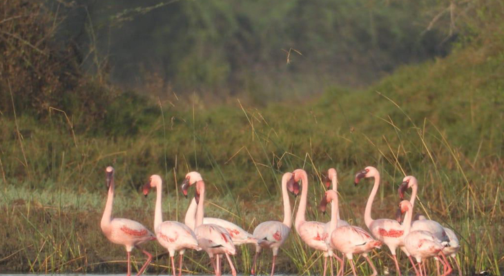 Aajkaal Daily (Desh Pardesh Ni Aajkaal)