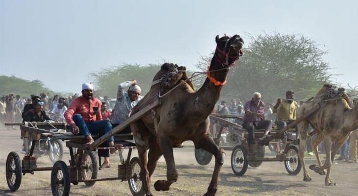 Aajkaal Daily (Desh Pardesh Ni Aajkaal)