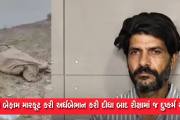 Aajkaal Daily (Desh Pardesh Ni Aajkaal)